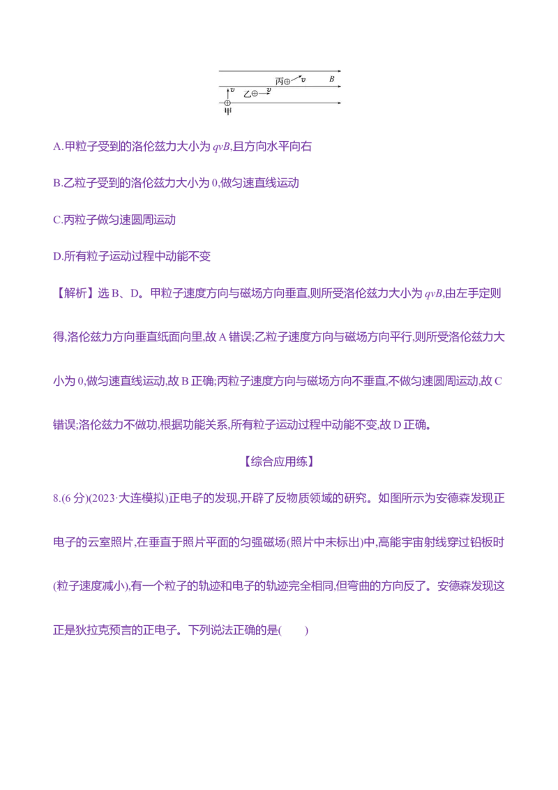 二十九：磁场对运动电荷的作用（含解析）_4.2025物理总复习_2025年新高考资料_专项复习_2025新高考物理核心素养测评（含解析）（完结）