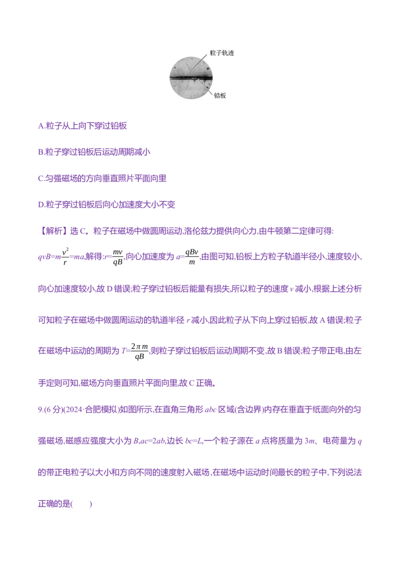 二十九：磁场对运动电荷的作用（含解析）_4.2025物理总复习_2025年新高考资料_专项复习_2025新高考物理核心素养测评（含解析）（完结）
