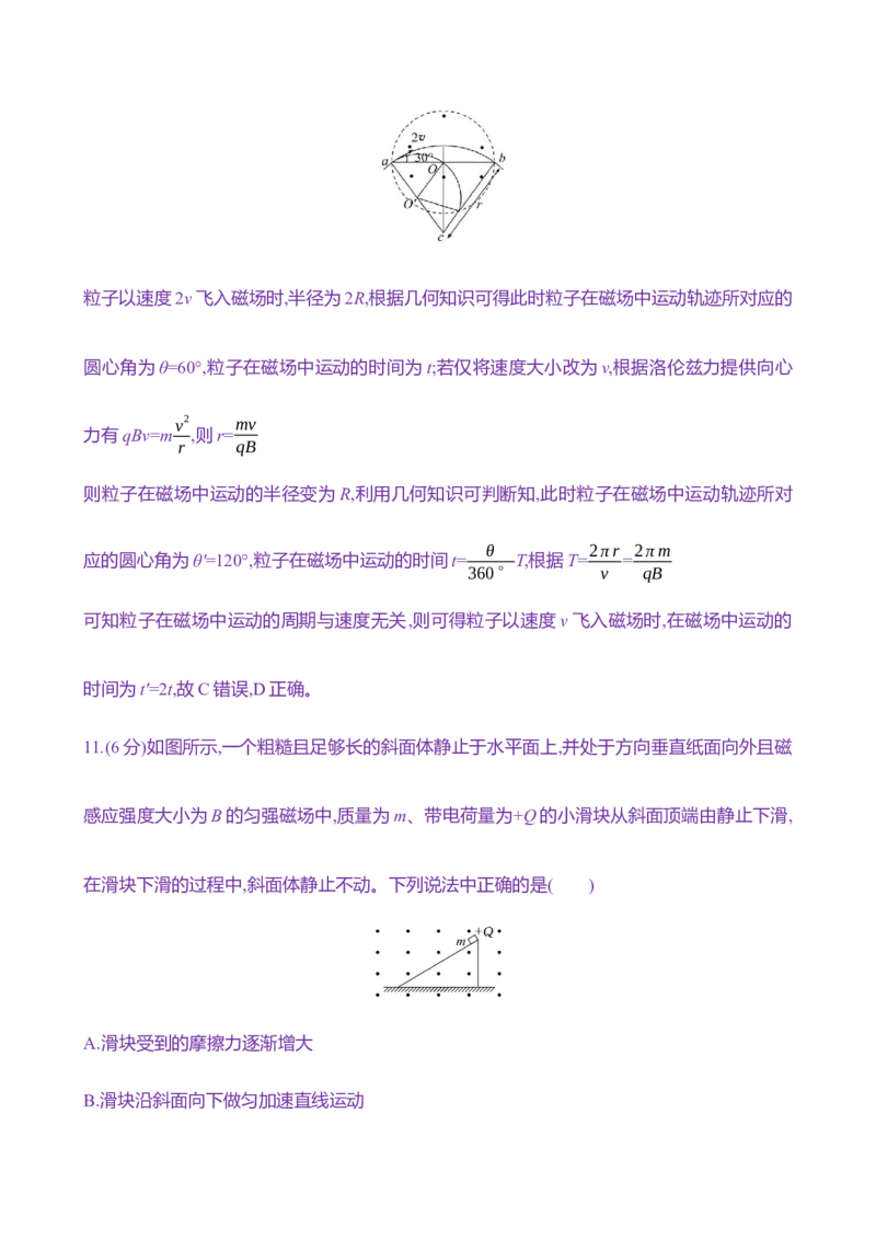 二十九：磁场对运动电荷的作用（含解析）_4.2025物理总复习_2025年新高考资料_专项复习_2025新高考物理核心素养测评（含解析）（完结）