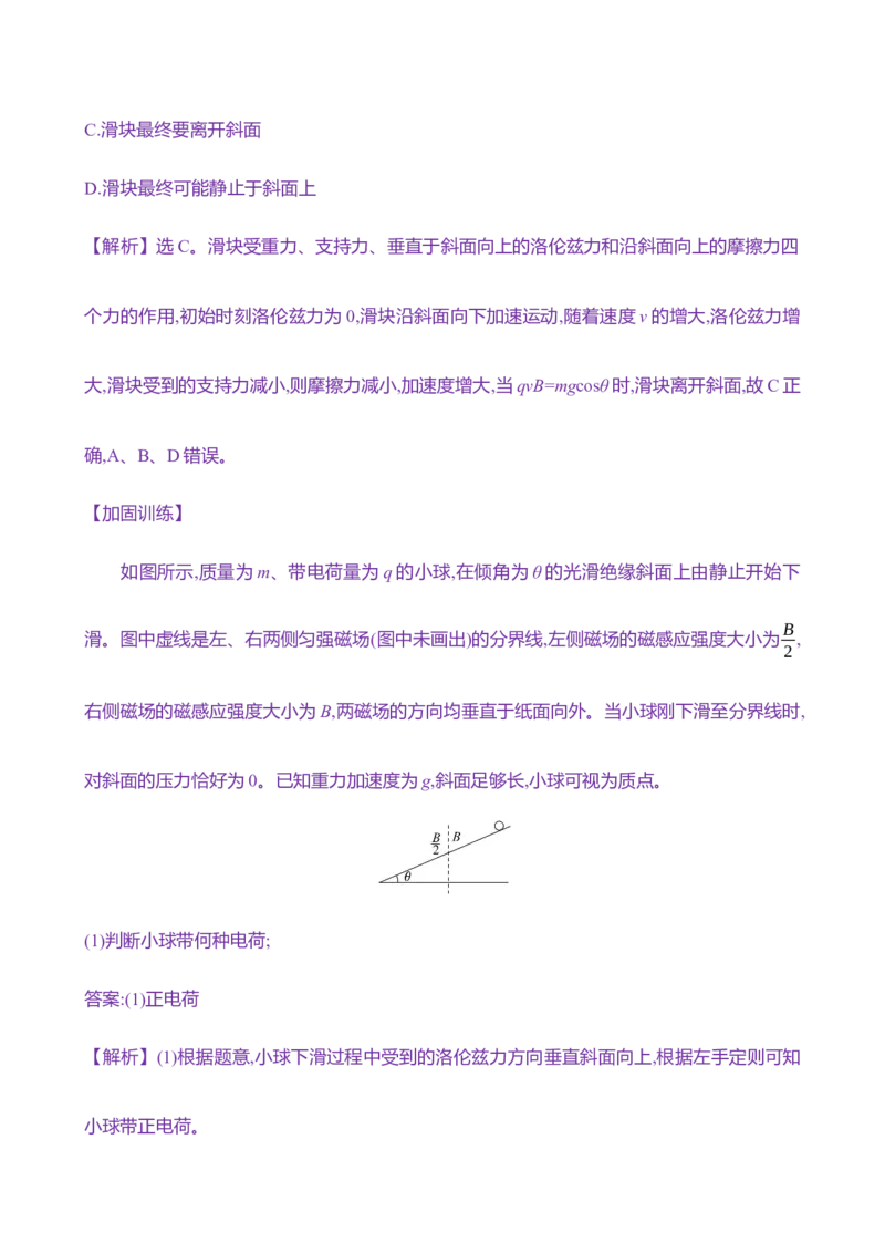 二十九：磁场对运动电荷的作用（含解析）_4.2025物理总复习_2025年新高考资料_专项复习_2025新高考物理核心素养测评（含解析）（完结）