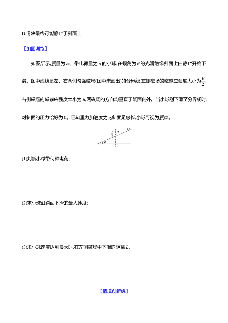 二十九：磁场对运动电荷的作用（含解析）_4.2025物理总复习_2025年新高考资料_专项复习_2025新高考物理核心素养测评（含解析）（完结）
