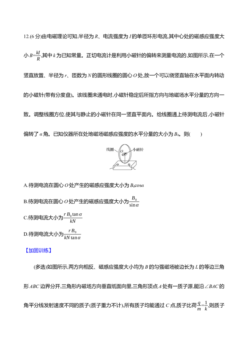 二十九：磁场对运动电荷的作用（含解析）_4.2025物理总复习_2025年新高考资料_专项复习_2025新高考物理核心素养测评（含解析）（完结）