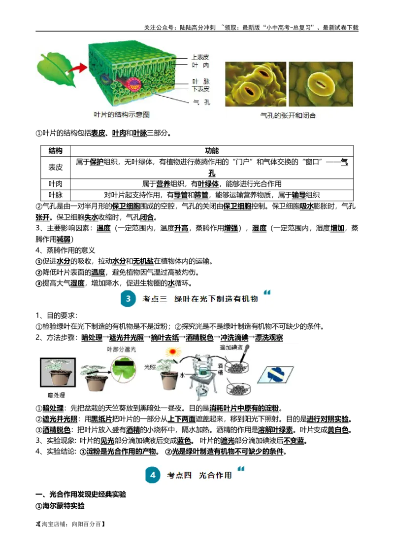清单04绿色植物的三大作用（5大考点+5大高频命题点）（教师版）_02中考总复习（2026版更新中）_08-生物-中考总复习_2024年中考复习资料_一轮复习_教师版（含答案解析）