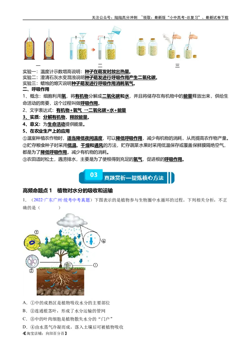 清单04绿色植物的三大作用（5大考点+5大高频命题点）（教师版）_02中考总复习（2026版更新中）_08-生物-中考总复习_2024年中考复习资料_一轮复习_教师版（含答案解析）