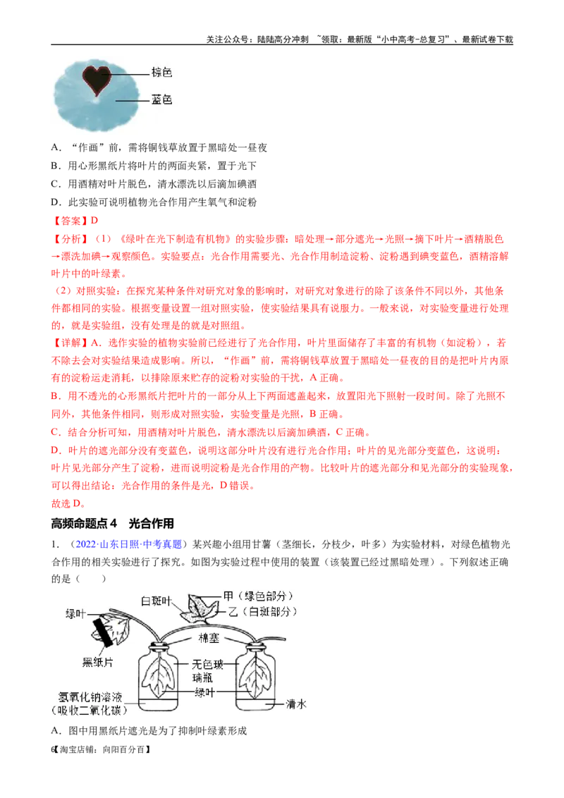 清单04绿色植物的三大作用（5大考点+5大高频命题点）（教师版）_02中考总复习（2026版更新中）_08-生物-中考总复习_2024年中考复习资料_一轮复习_教师版（含答案解析）