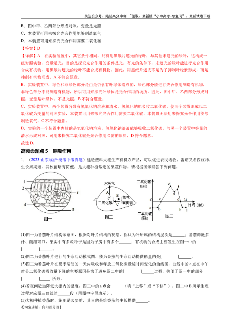 清单04绿色植物的三大作用（5大考点+5大高频命题点）（教师版）_02中考总复习（2026版更新中）_08-生物-中考总复习_2024年中考复习资料_一轮复习_教师版（含答案解析）