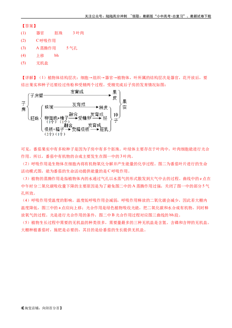 清单04绿色植物的三大作用（5大考点+5大高频命题点）（教师版）_02中考总复习（2026版更新中）_08-生物-中考总复习_2024年中考复习资料_一轮复习_教师版（含答案解析）