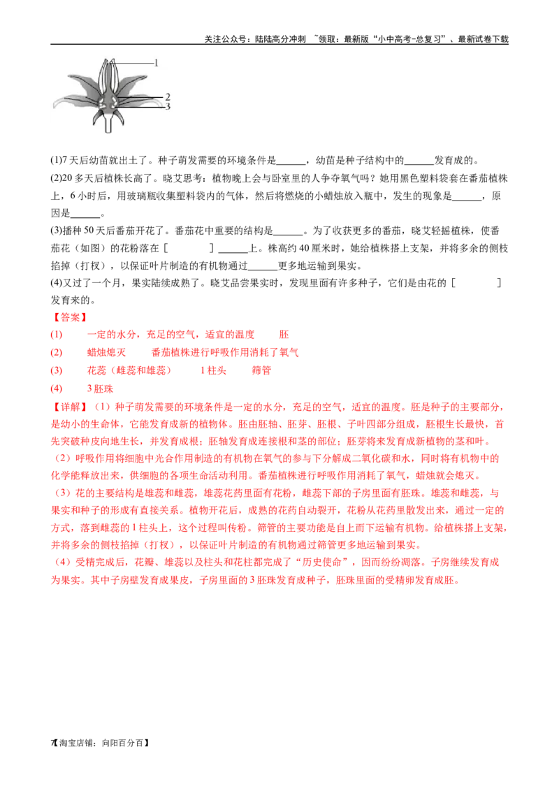 清单03生物圈中有哪些绿色植物+被子植物的一生（6大考点+6大高频命题点）（教师版）_02中考总复习（2026版更新中）_08-生物-中考总复习_2024年中考复习资料_一轮复习