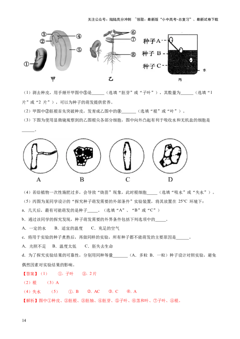 模块三生物圈中的绿色植物（测试）（解析版）_02中考总复习（2026版更新中）_08-生物-中考总复习_2024年中考复习资料_一轮复习_❤2024年中考生物一轮复习讲练测（全国通用）_练习