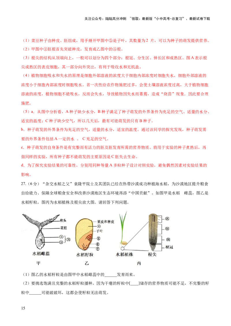 模块三生物圈中的绿色植物（测试）（解析版）_02中考总复习（2026版更新中）_08-生物-中考总复习_2024年中考复习资料_一轮复习_❤2024年中考生物一轮复习讲练测（全国通用）_练习