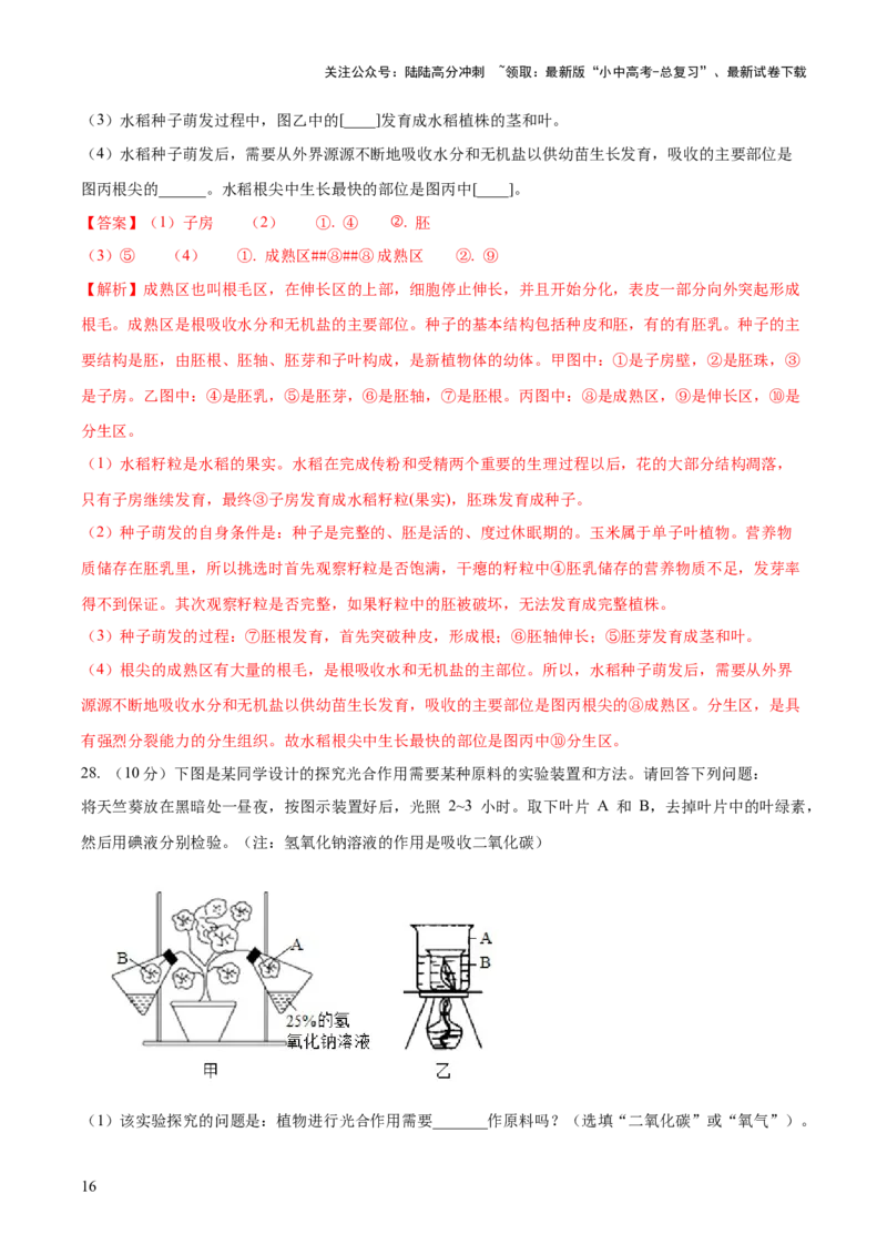 模块三生物圈中的绿色植物（测试）（解析版）_02中考总复习（2026版更新中）_08-生物-中考总复习_2024年中考复习资料_一轮复习_❤2024年中考生物一轮复习讲练测（全国通用）_练习
