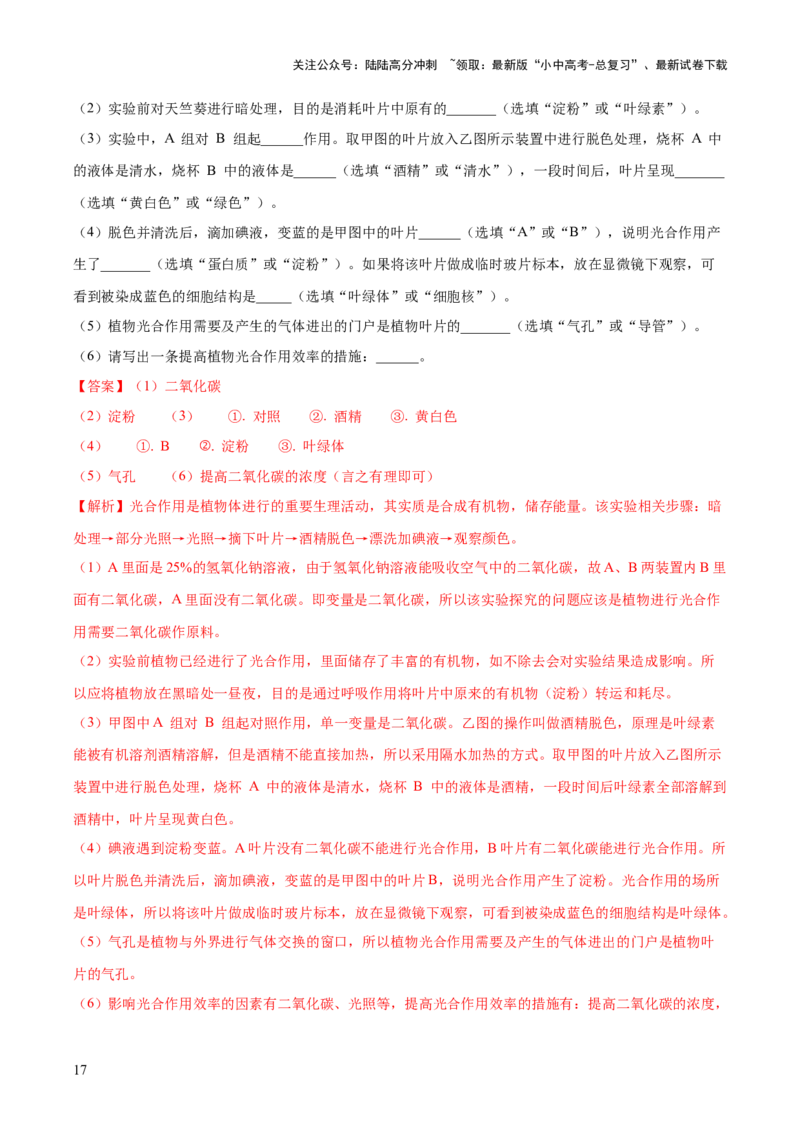 模块三生物圈中的绿色植物（测试）（解析版）_02中考总复习（2026版更新中）_08-生物-中考总复习_2024年中考复习资料_一轮复习_❤2024年中考生物一轮复习讲练测（全国通用）_练习