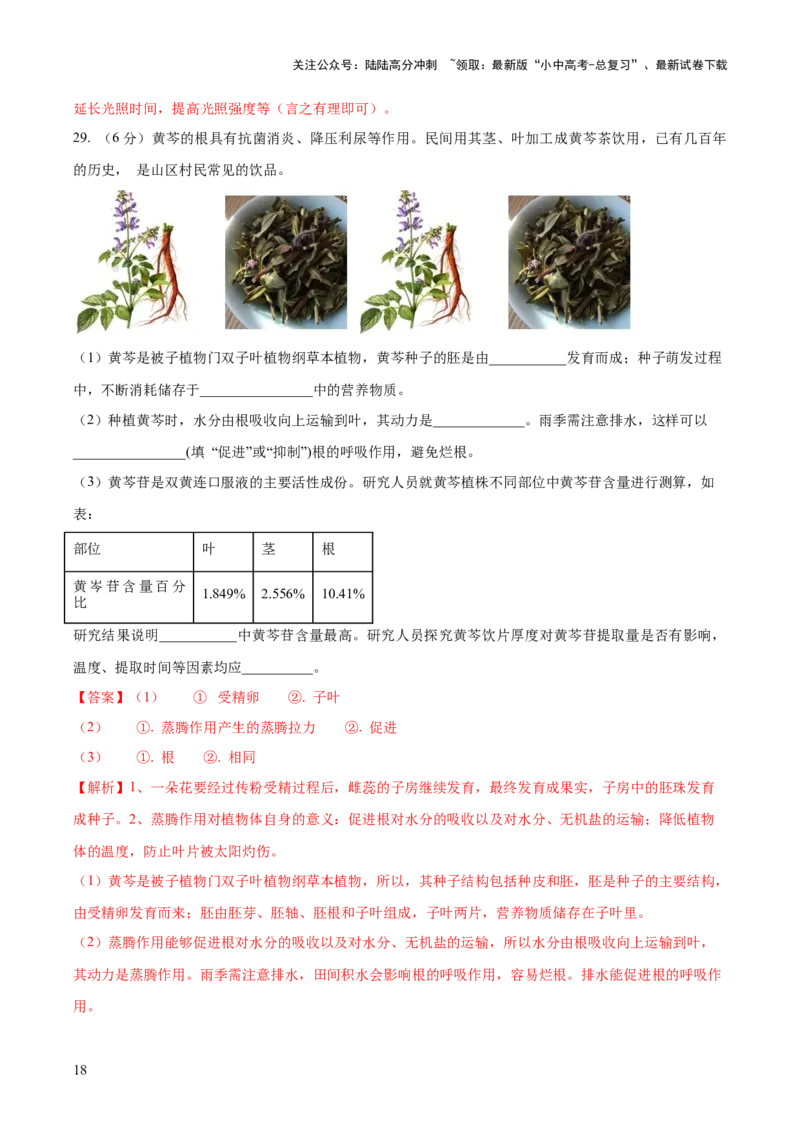 模块三生物圈中的绿色植物（测试）（解析版）_02中考总复习（2026版更新中）_08-生物-中考总复习_2024年中考复习资料_一轮复习_❤2024年中考生物一轮复习讲练测（全国通用）_练习