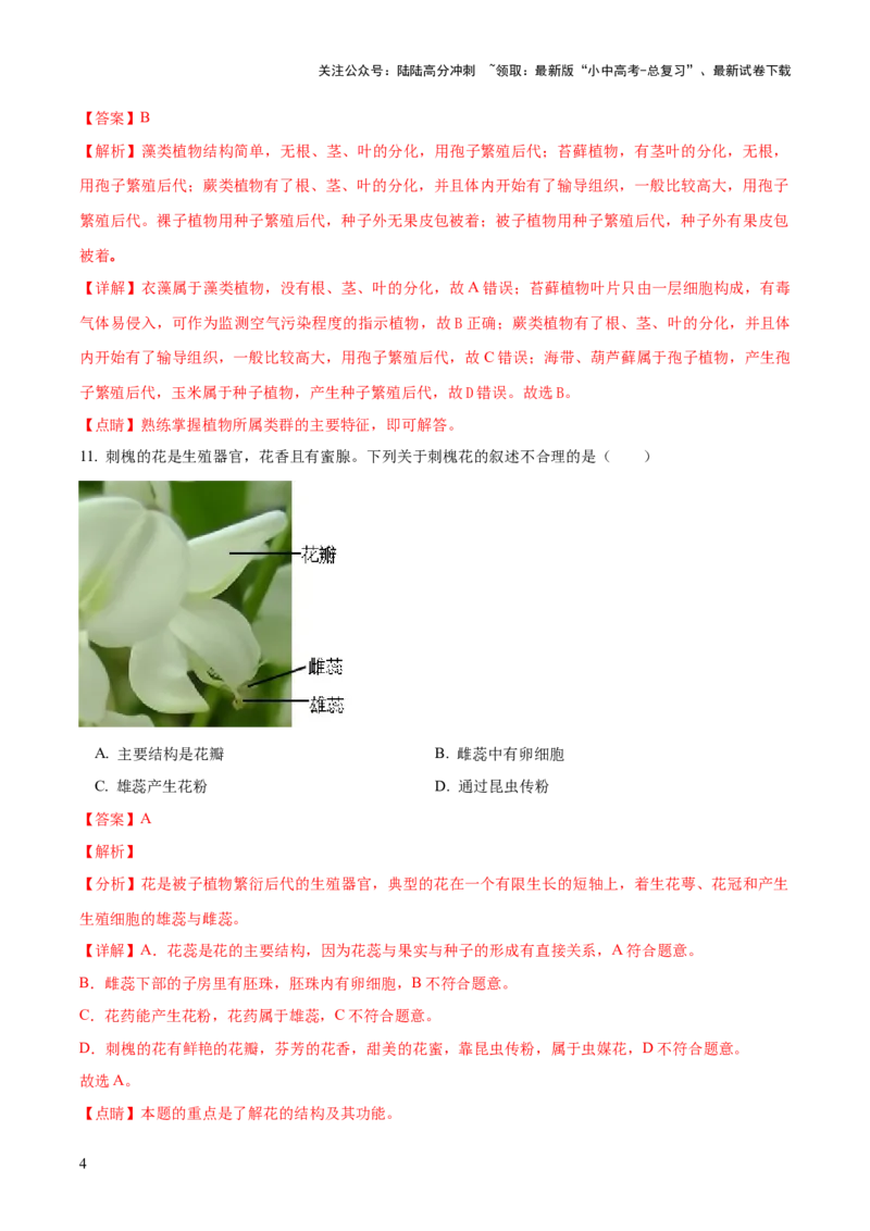 模块三生物圈中的绿色植物（测试）（解析版）_02中考总复习（2026版更新中）_08-生物-中考总复习_2024年中考复习资料_一轮复习_❤2024年中考生物一轮复习讲练测（全国通用）_练习