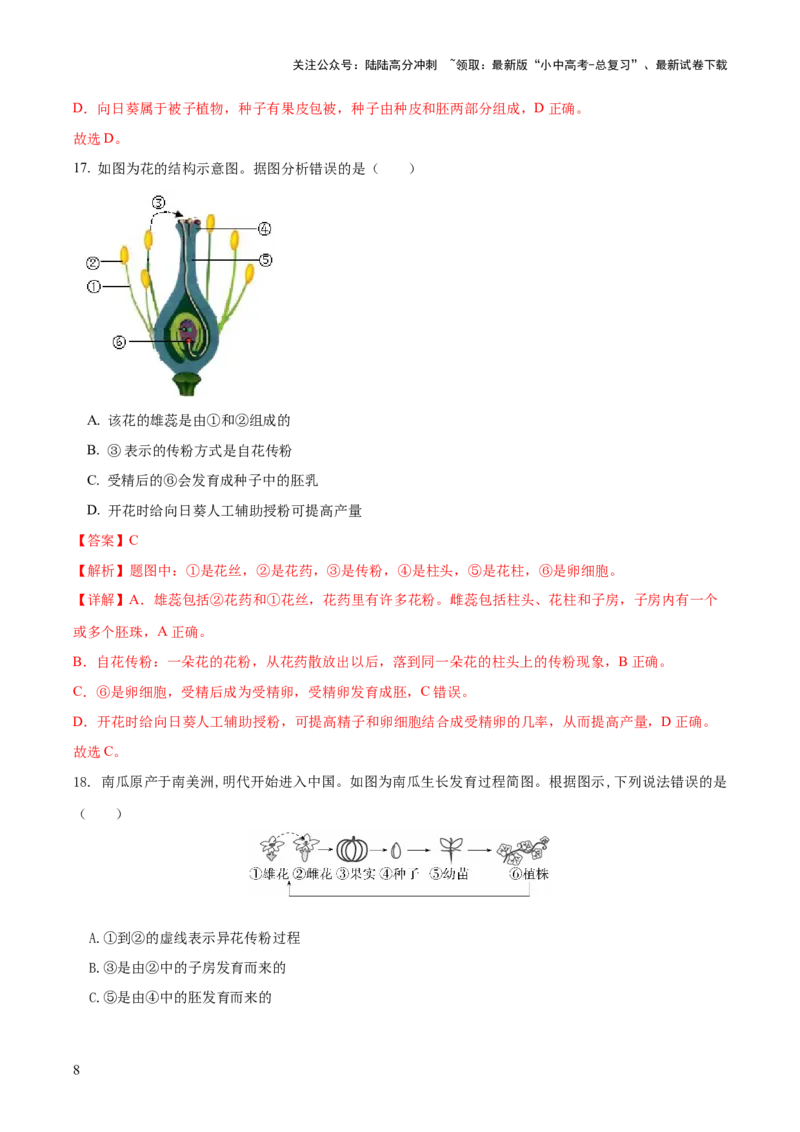 模块三生物圈中的绿色植物（测试）（解析版）_02中考总复习（2026版更新中）_08-生物-中考总复习_2024年中考复习资料_一轮复习_❤2024年中考生物一轮复习讲练测（全国通用）_练习