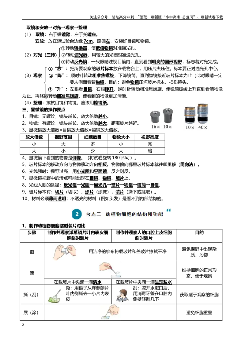 清单02生物体的结构层次（6大考点+6大高频命题点）（学生版）_02中考总复习（2026版更新中）_08-生物-中考总复习_2024年中考复习资料_一轮复习