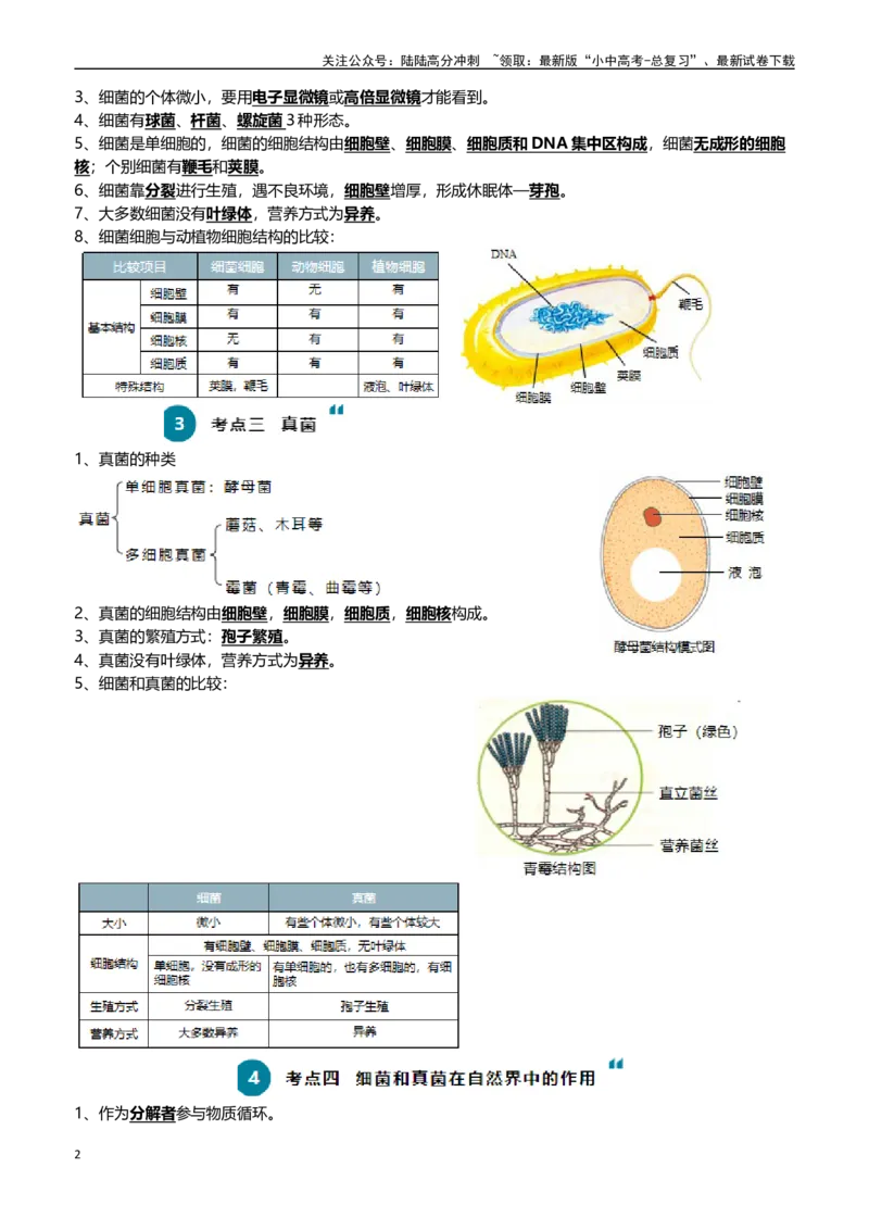 清单10细菌、真菌和病毒（6大考点+2大高频命题点）（教师版）_02中考总复习（2026版更新中）_08-生物-中考总复习_2024年中考复习资料_一轮复习_教师版（含答案解析）