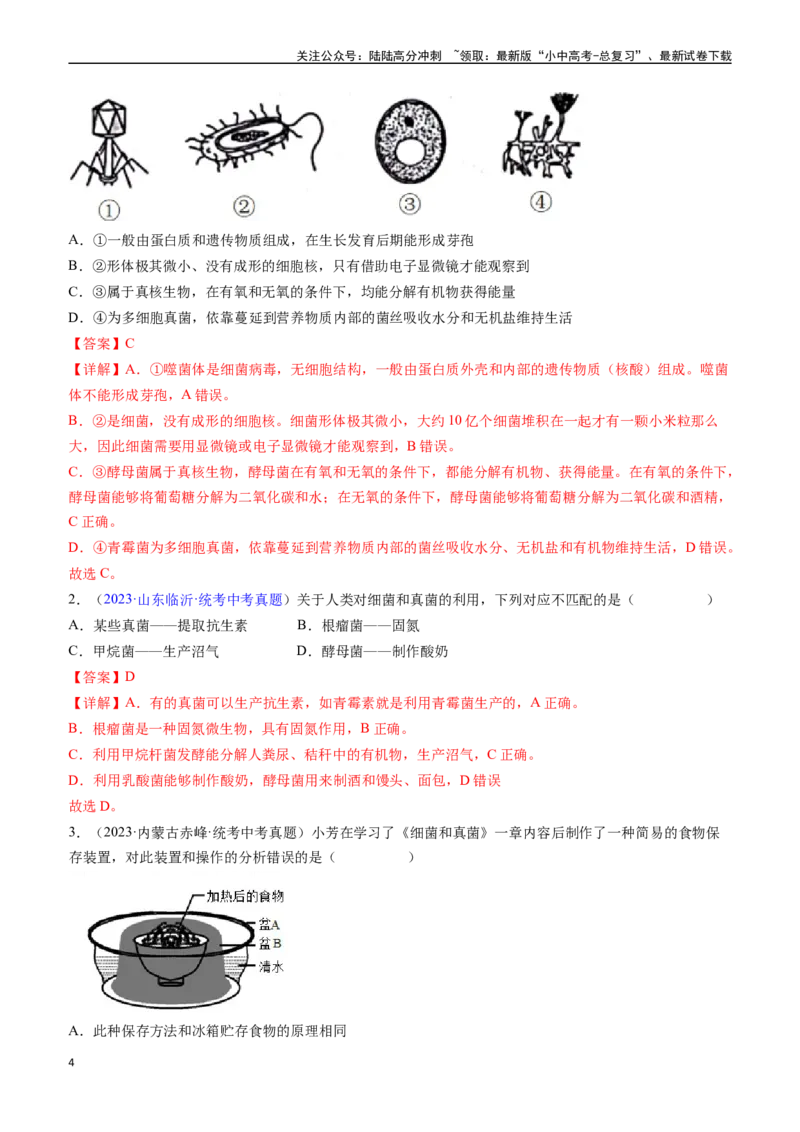 清单10细菌、真菌和病毒（6大考点+2大高频命题点）（教师版）_02中考总复习（2026版更新中）_08-生物-中考总复习_2024年中考复习资料_一轮复习_教师版（含答案解析）