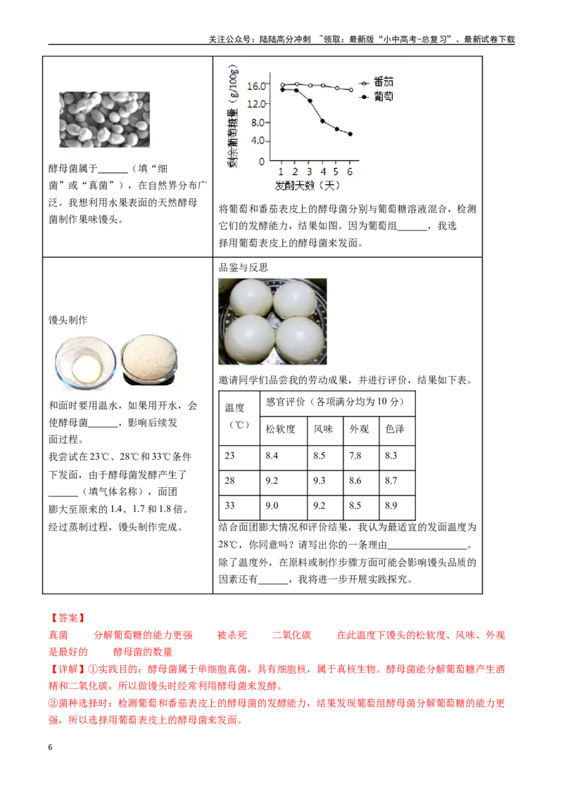 清单10细菌、真菌和病毒（6大考点+2大高频命题点）（教师版）_02中考总复习（2026版更新中）_08-生物-中考总复习_2024年中考复习资料_一轮复习_教师版（含答案解析）
