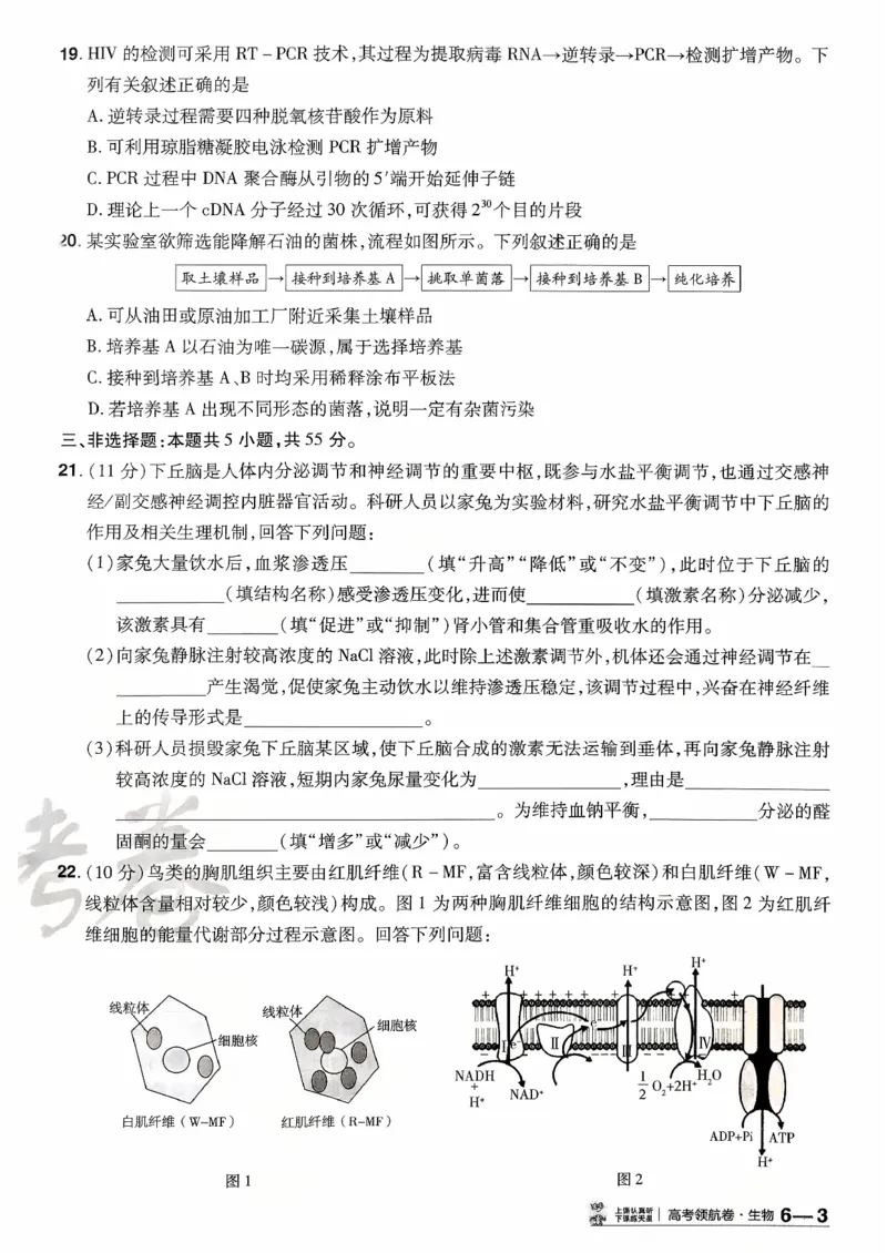 2026金考卷百校联盟高考领航卷生物试卷六（新教材不定项选择题版）_2026版金考卷&middot;百校联盟高考领航卷（全科）_2026版金考卷&middot;百校联盟高考领航卷生物（单选+不定项）