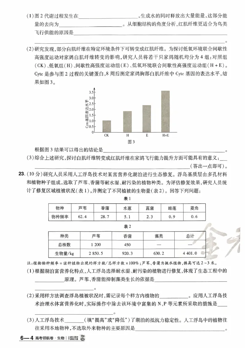 2026金考卷百校联盟高考领航卷生物试卷六（新教材不定项选择题版）_2026版金考卷&middot;百校联盟高考领航卷（全科）_2026版金考卷&middot;百校联盟高考领航卷生物（单选+不定项）