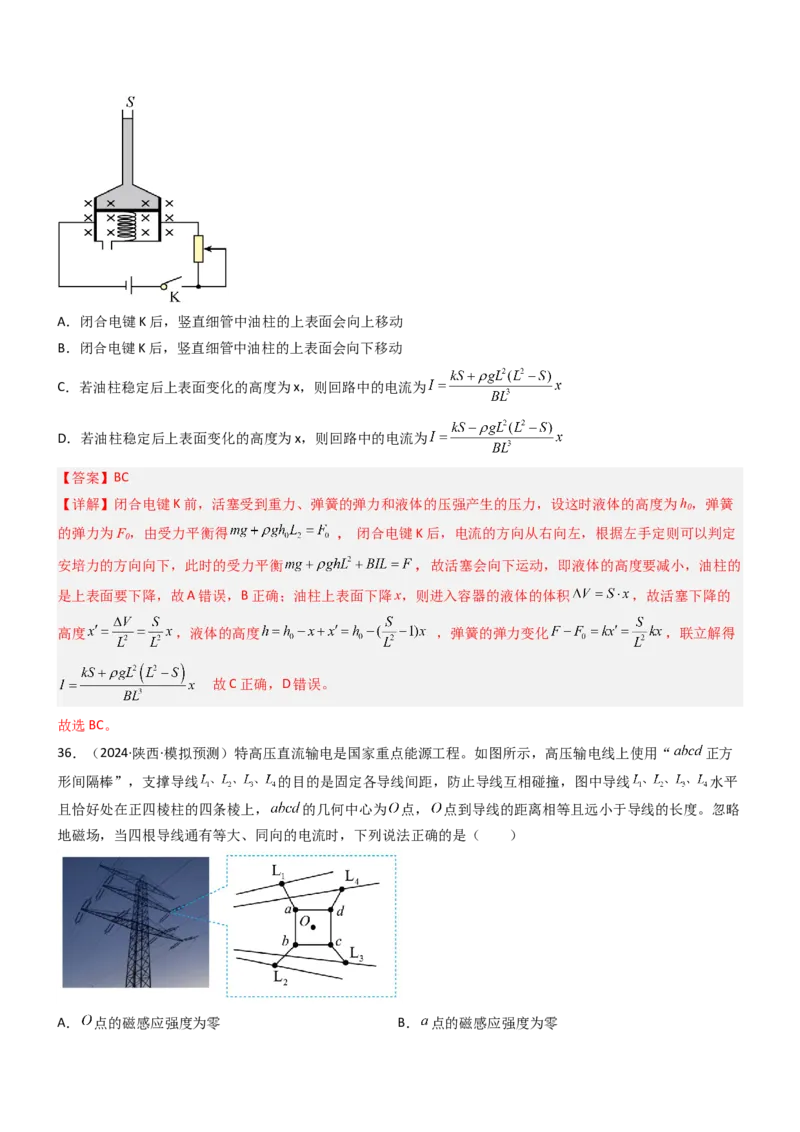 压轴题06安培力（解析版）_4.2025物理总复习_2024年新高考资料_5.2024三轮冲刺_2024年高考物理压轴题专项训练（新高考通用）