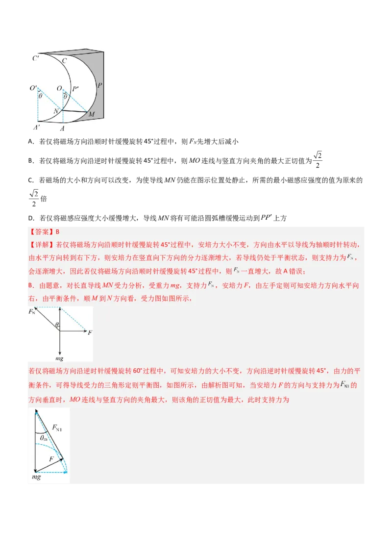 压轴题06安培力（解析版）_4.2025物理总复习_2024年新高考资料_5.2024三轮冲刺_2024年高考物理压轴题专项训练（新高考通用）