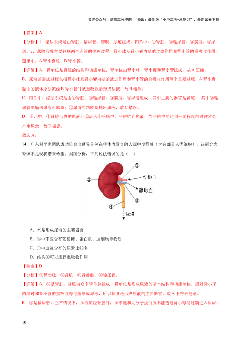 主题05人体生理与健康（测试）（解析版）_02中考总复习（2026版更新中）_08-生物-中考总复习_2025中考复习资料_2025中考二轮课件ppt+讲义+练习生物_测试