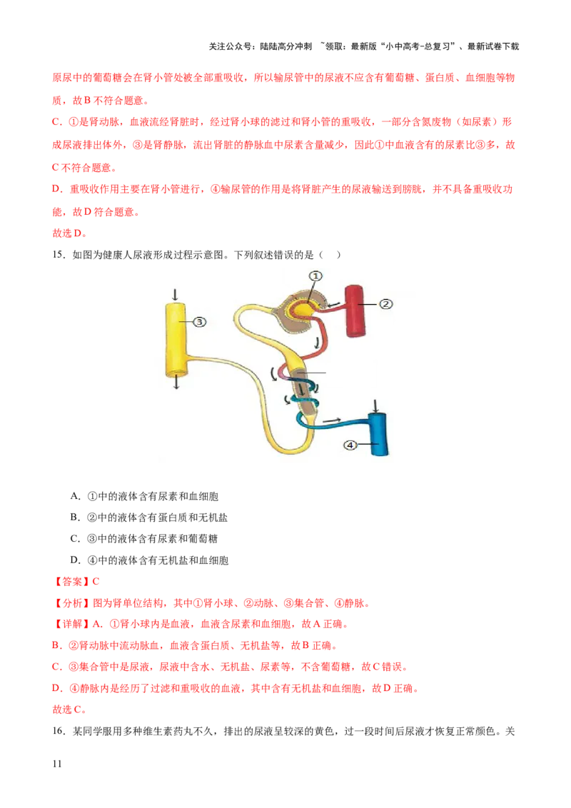 主题05人体生理与健康（测试）（解析版）_02中考总复习（2026版更新中）_08-生物-中考总复习_2025中考复习资料_2025中考二轮课件ppt+讲义+练习生物_测试