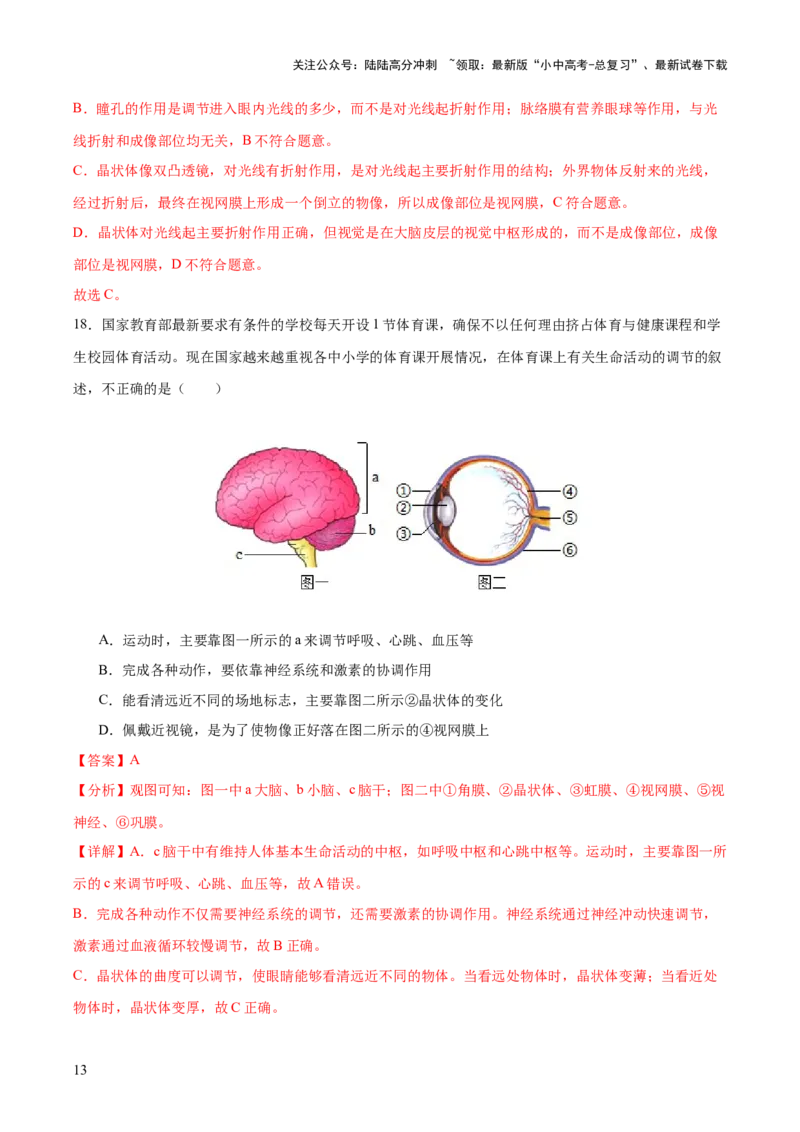主题05人体生理与健康（测试）（解析版）_02中考总复习（2026版更新中）_08-生物-中考总复习_2025中考复习资料_2025中考二轮课件ppt+讲义+练习生物_测试
