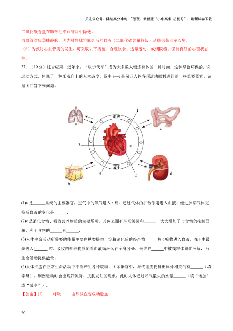 主题05人体生理与健康（测试）（解析版）_02中考总复习（2026版更新中）_08-生物-中考总复习_2025中考复习资料_2025中考二轮课件ppt+讲义+练习生物_测试