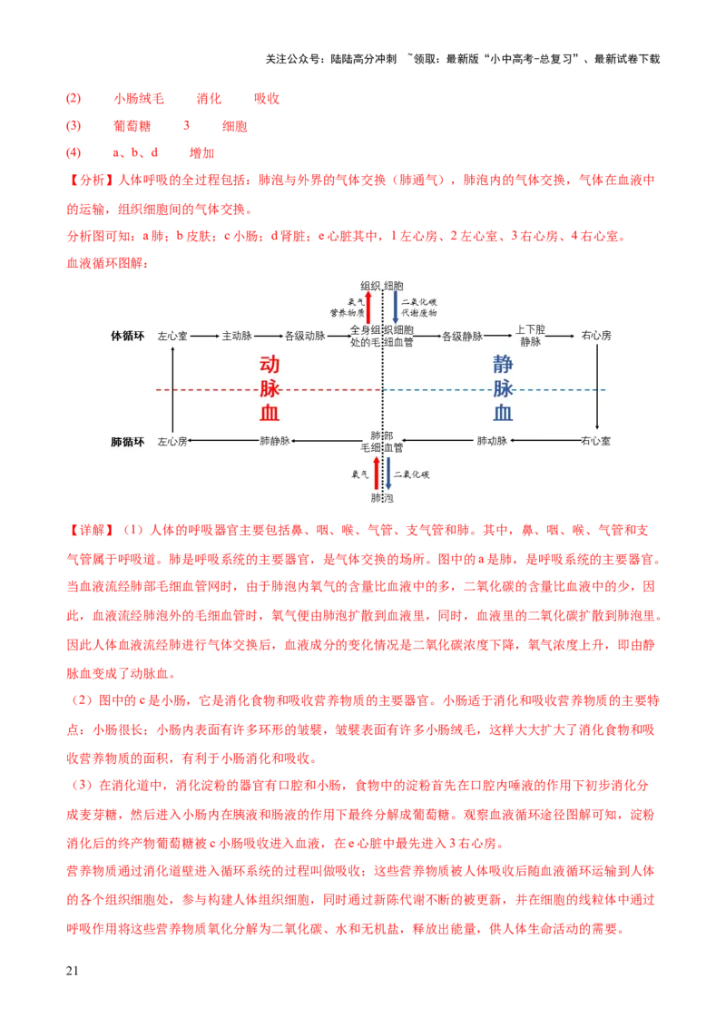 主题05人体生理与健康（测试）（解析版）_02中考总复习（2026版更新中）_08-生物-中考总复习_2025中考复习资料_2025中考二轮课件ppt+讲义+练习生物_测试