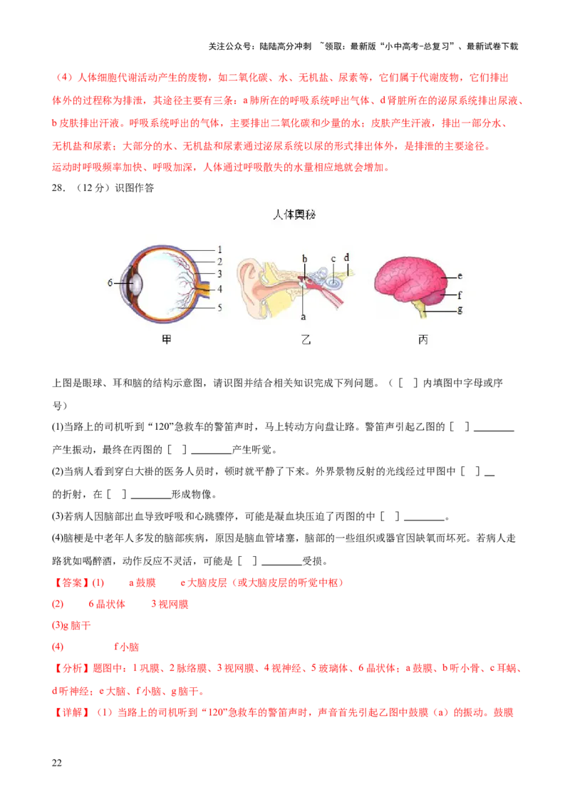 主题05人体生理与健康（测试）（解析版）_02中考总复习（2026版更新中）_08-生物-中考总复习_2025中考复习资料_2025中考二轮课件ppt+讲义+练习生物_测试