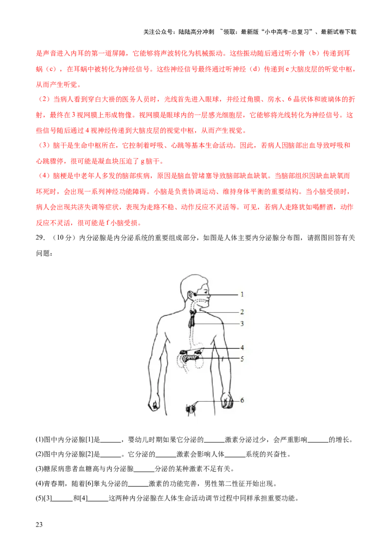 主题05人体生理与健康（测试）（解析版）_02中考总复习（2026版更新中）_08-生物-中考总复习_2025中考复习资料_2025中考二轮课件ppt+讲义+练习生物_测试