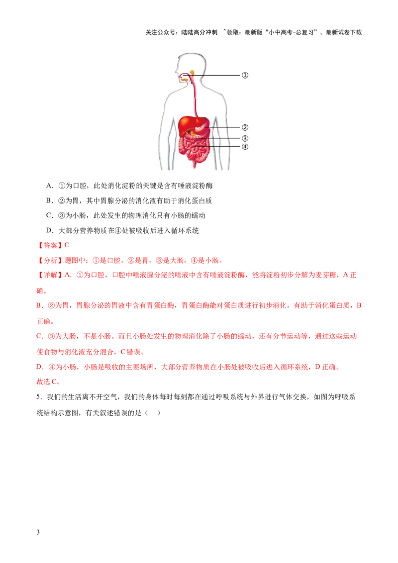 主题05人体生理与健康（测试）（解析版）_02中考总复习（2026版更新中）_08-生物-中考总复习_2025中考复习资料_2025中考二轮课件ppt+讲义+练习生物_测试