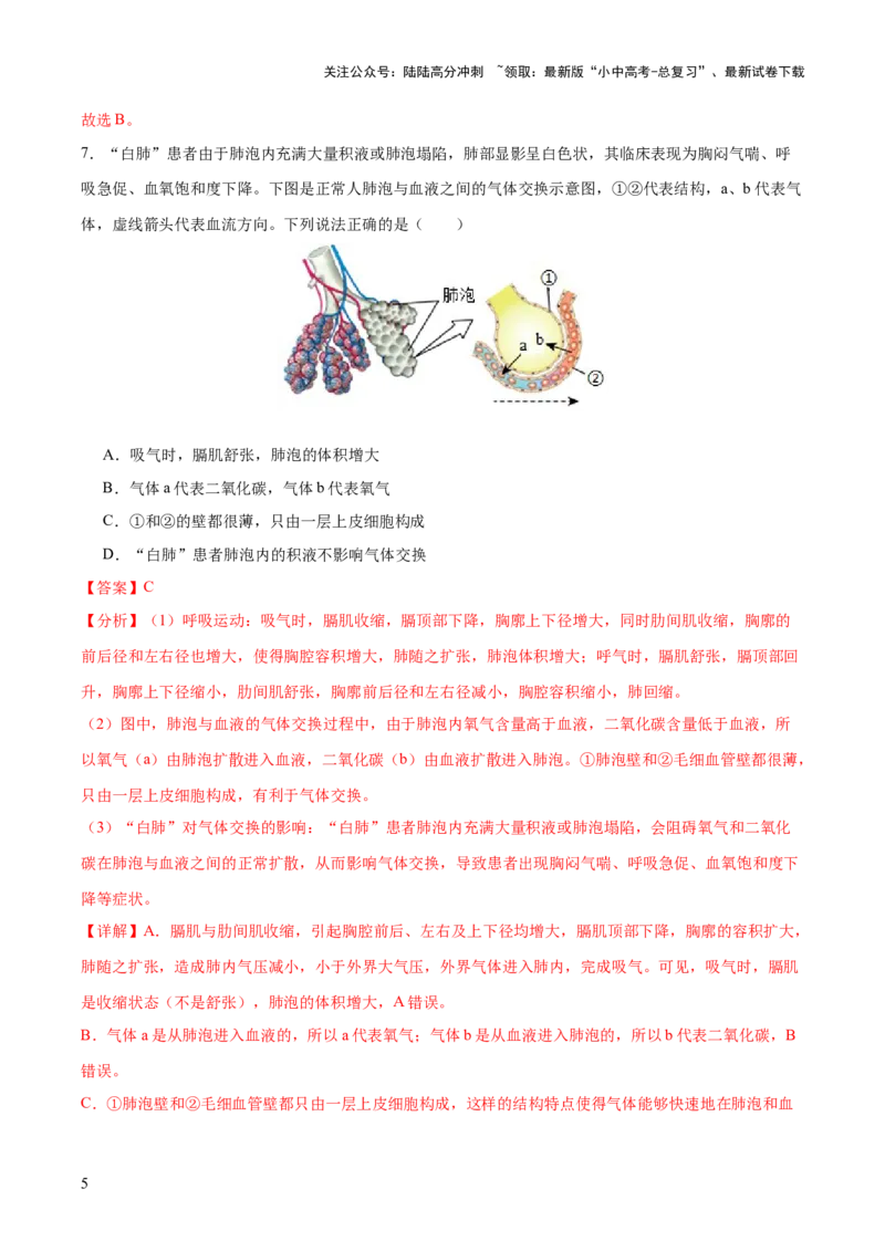 主题05人体生理与健康（测试）（解析版）_02中考总复习（2026版更新中）_08-生物-中考总复习_2025中考复习资料_2025中考二轮课件ppt+讲义+练习生物_测试