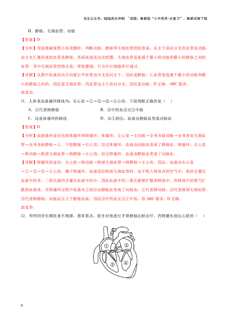 主题05人体生理与健康（测试）（解析版）_02中考总复习（2026版更新中）_08-生物-中考总复习_2025中考复习资料_2025中考二轮课件ppt+讲义+练习生物_测试