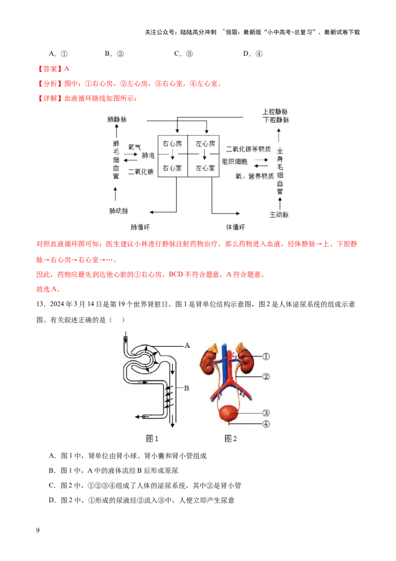 主题05人体生理与健康（测试）（解析版）_02中考总复习（2026版更新中）_08-生物-中考总复习_2025中考复习资料_2025中考二轮课件ppt+讲义+练习生物_测试