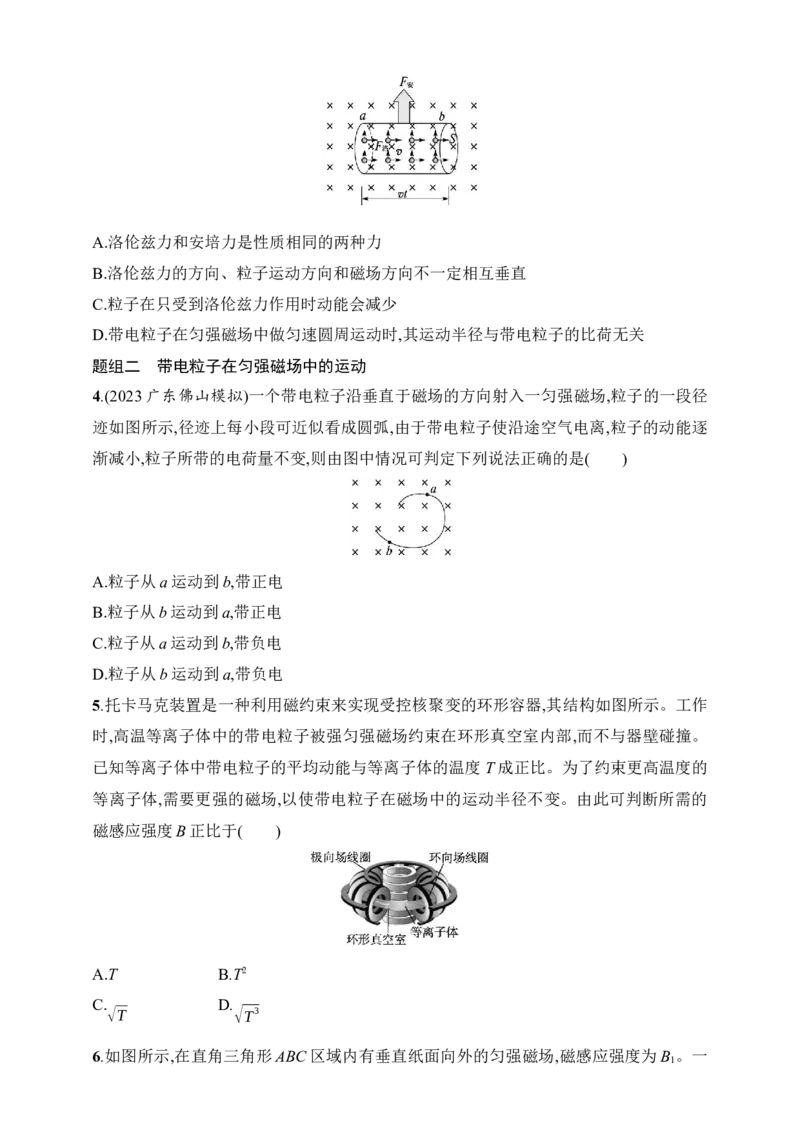 第11章　磁场第2讲　磁场对运动电荷的作用力_4.2025物理总复习_2025年新高考资料_一轮复习_2025人教版新教材物理高考第一轮基础练（完结）