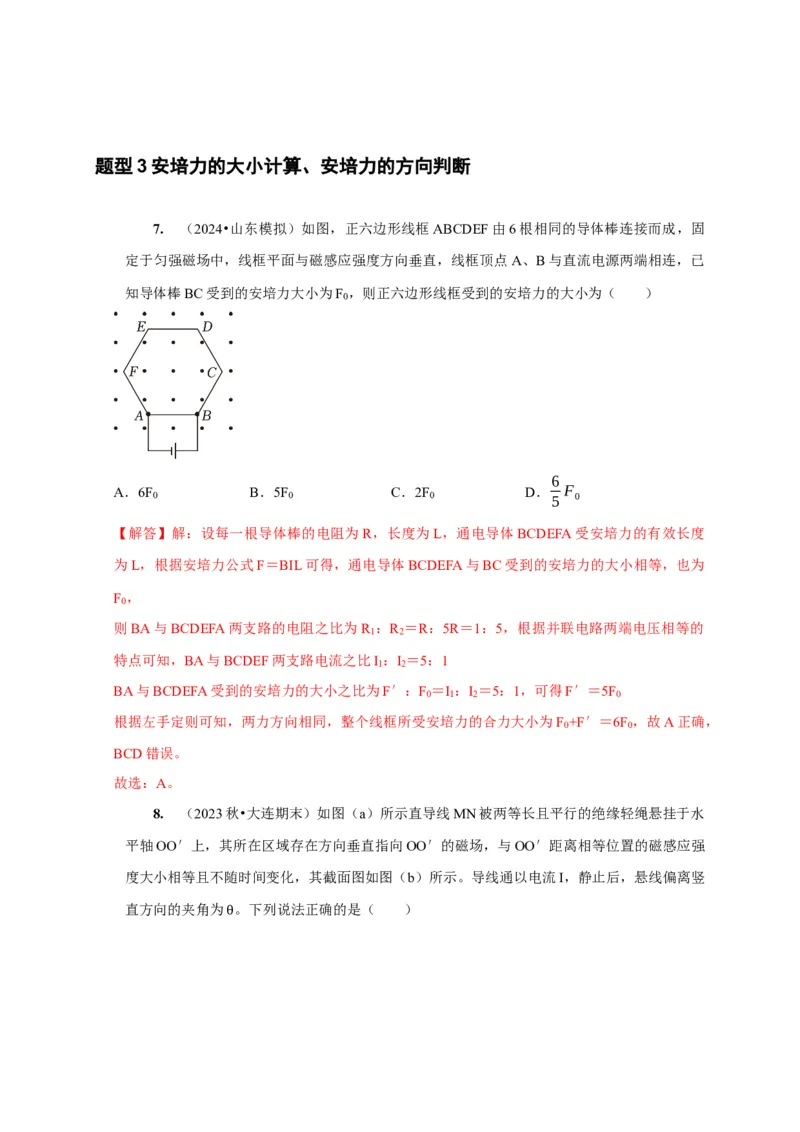 第21讲　磁场的描述磁场对电流的作用（解析版）_4.2025物理总复习_2025年新高考资料_一轮复习_2025届高考物理一轮复习考点精讲精练（全国通用）（完结）