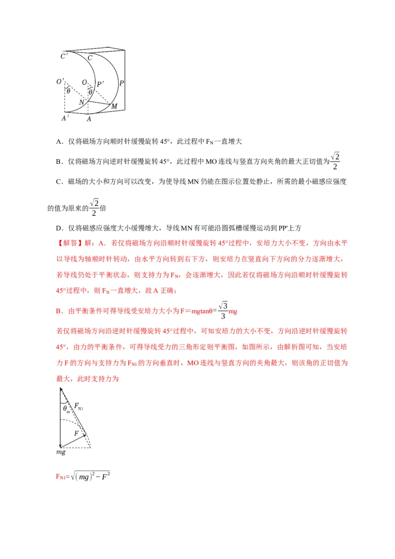 第21讲　磁场的描述磁场对电流的作用（解析版）_4.2025物理总复习_2025年新高考资料_一轮复习_2025届高考物理一轮复习考点精讲精练（全国通用）（完结）