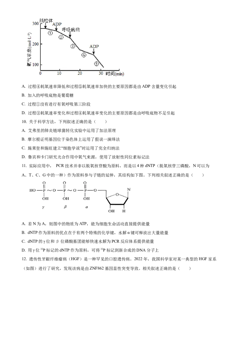 四川省成都市成华区成都列五中学2024-2025学年高三上学期9月月考生物试题Word版无答案_A1502026各地模拟卷（超值！）_10月_241008四川省成都列五中学2024-2025学年高三上学期9月月考