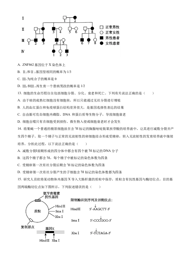 四川省成都市成华区成都列五中学2024-2025学年高三上学期9月月考生物试题Word版无答案_A1502026各地模拟卷（超值！）_10月_241008四川省成都列五中学2024-2025学年高三上学期9月月考