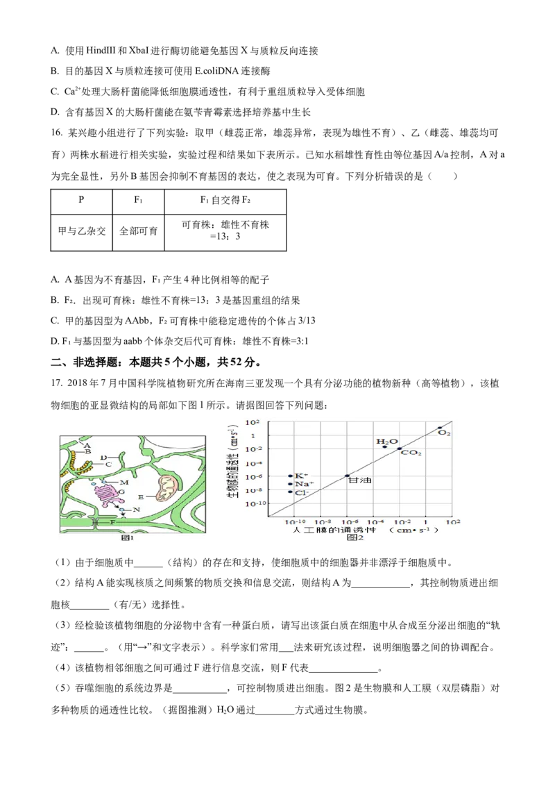 四川省成都市成华区成都列五中学2024-2025学年高三上学期9月月考生物试题Word版无答案_A1502026各地模拟卷（超值！）_10月_241008四川省成都列五中学2024-2025学年高三上学期9月月考
