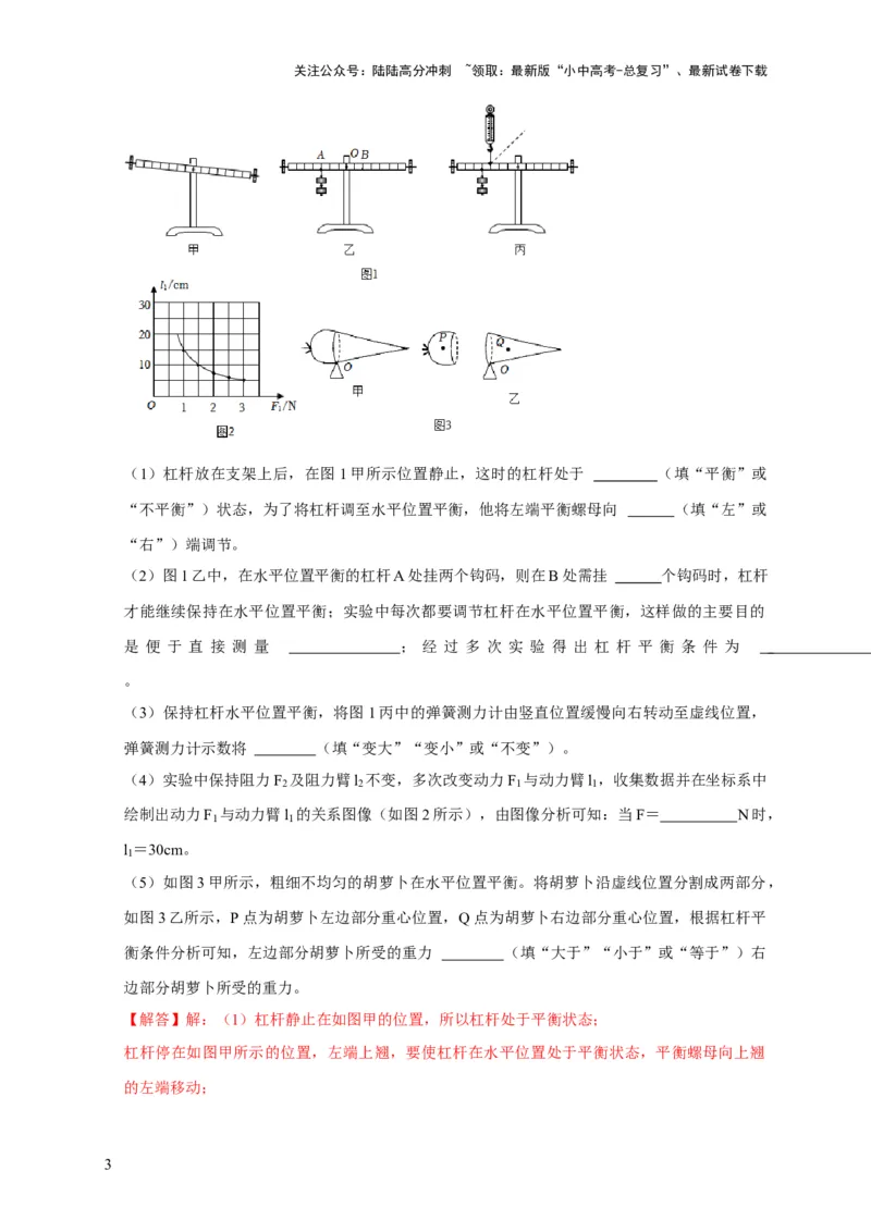 实验12探究杠杆的平衡条件（解析版）_02中考总复习（2026版更新中）_04-物理-中考总复习_2024年中考复习资料_二轮复习_（讲义+练习）2024年中考物理二轮题型专项复习