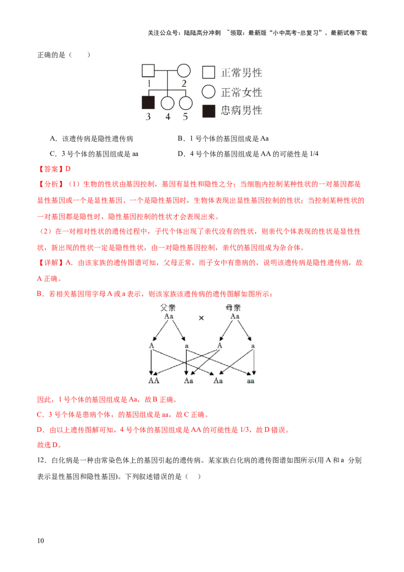 热点04基因组成及概率计算（测试）（解析版）_02中考总复习（2026版更新中）_08-生物-中考总复习_2025中考复习资料_2025中考二轮课件ppt+讲义+练习生物_测试