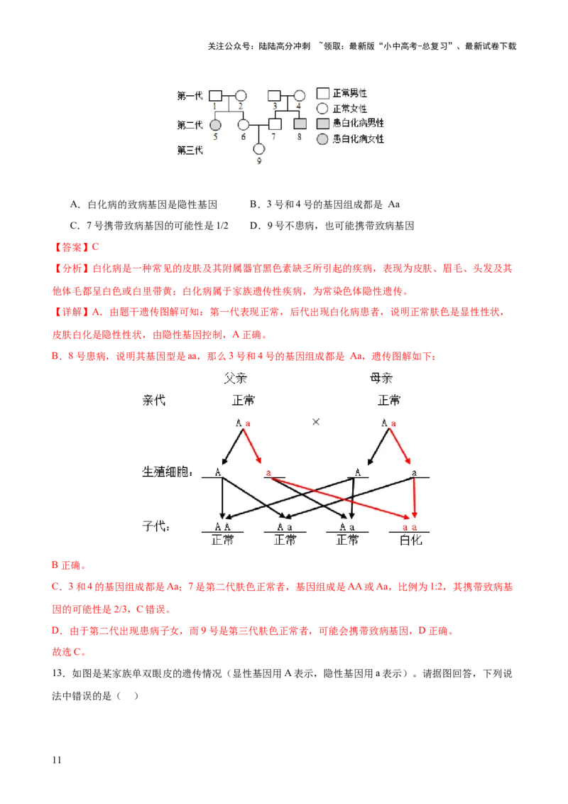 热点04基因组成及概率计算（测试）（解析版）_02中考总复习（2026版更新中）_08-生物-中考总复习_2025中考复习资料_2025中考二轮课件ppt+讲义+练习生物_测试