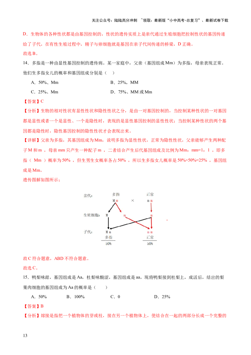 热点04基因组成及概率计算（测试）（解析版）_02中考总复习（2026版更新中）_08-生物-中考总复习_2025中考复习资料_2025中考二轮课件ppt+讲义+练习生物_测试