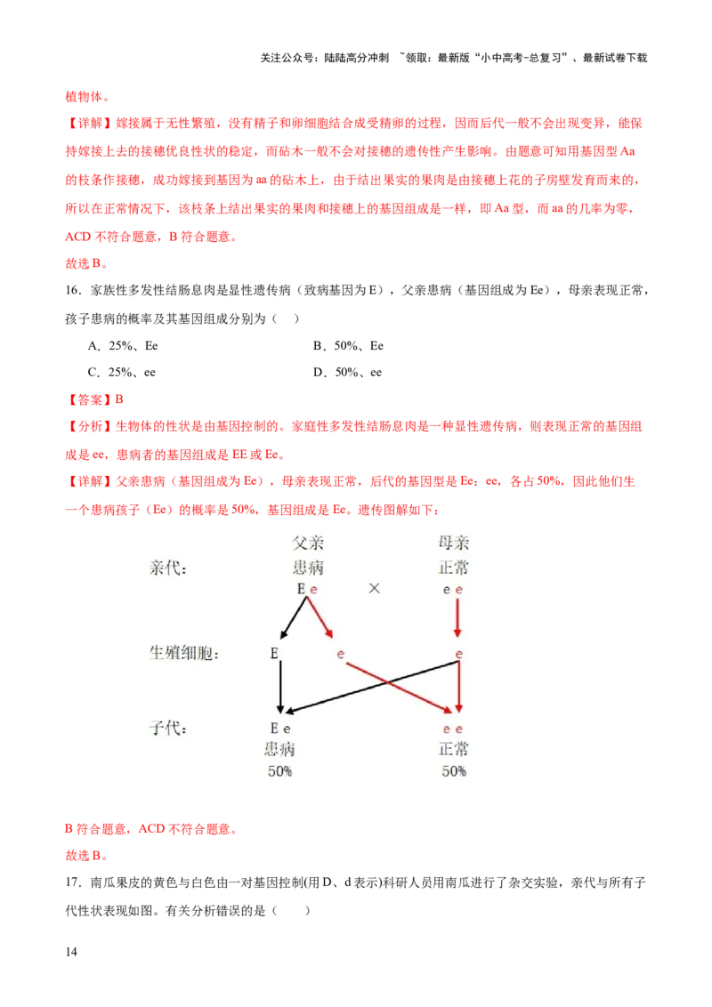 热点04基因组成及概率计算（测试）（解析版）_02中考总复习（2026版更新中）_08-生物-中考总复习_2025中考复习资料_2025中考二轮课件ppt+讲义+练习生物_测试