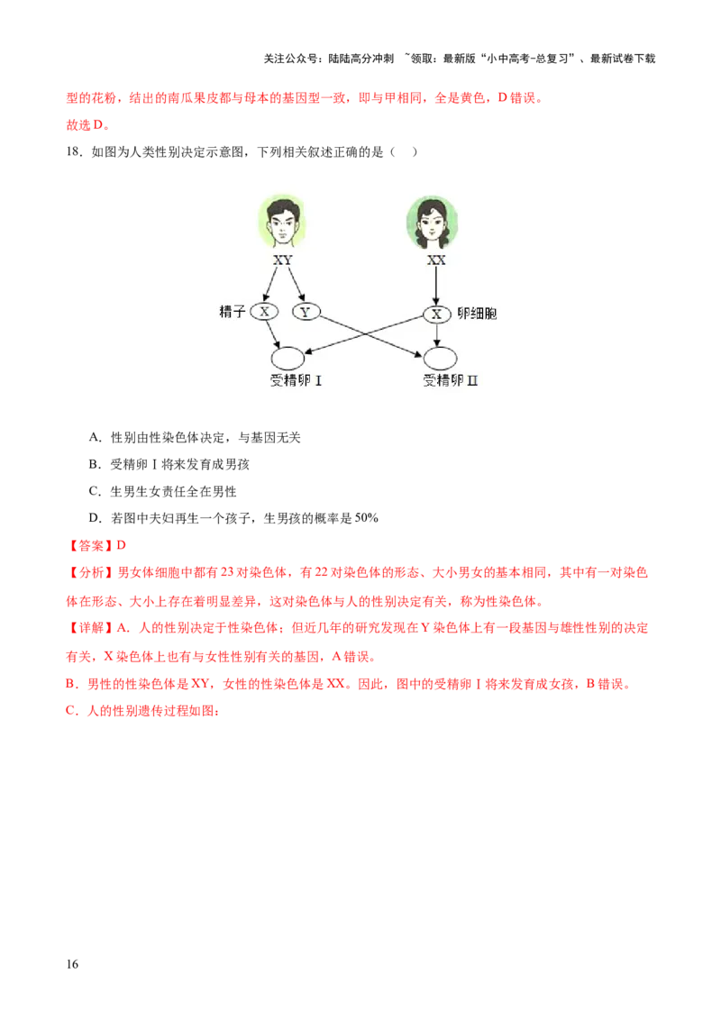 热点04基因组成及概率计算（测试）（解析版）_02中考总复习（2026版更新中）_08-生物-中考总复习_2025中考复习资料_2025中考二轮课件ppt+讲义+练习生物_测试